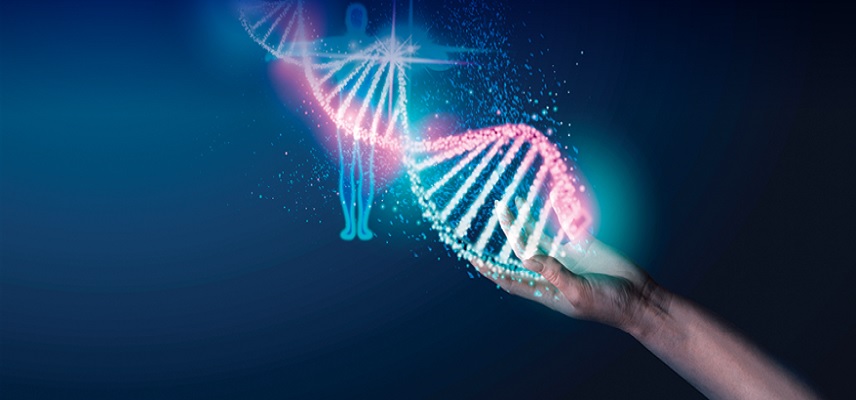 Phanes Therapeutics' PT217 Receives Fast Track Designation from FDA